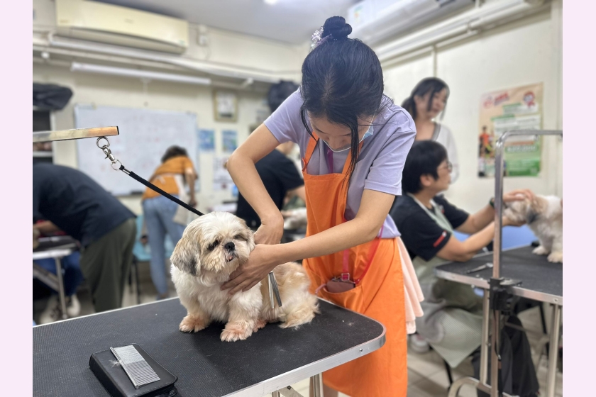 WhatsApp Image 2025-12-31 at 5.27.59 PM