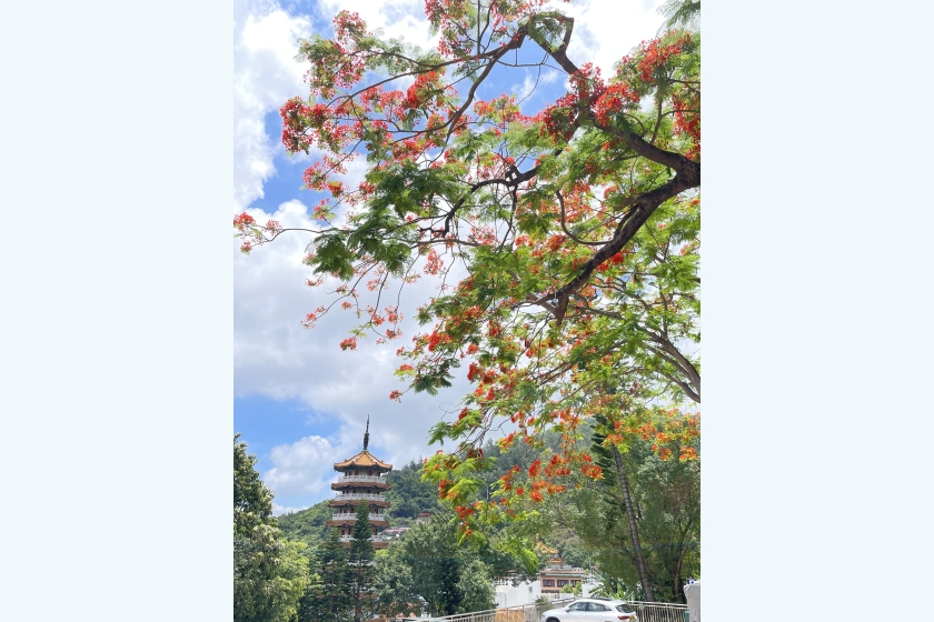 相片1
